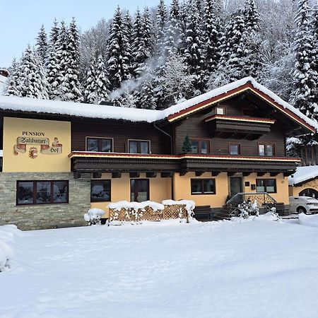 Apartments Salzburgerhof Σάαλμπαχ-Χίντεργκλεμ Εξωτερικό φωτογραφία